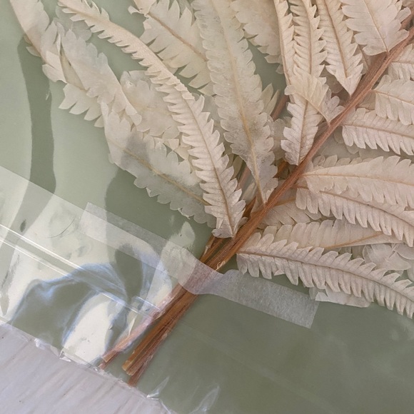 Creative Co Op Dried Cream Fern Bouquet - Picture 8 of 12